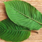 How long does it take for kratom to work?