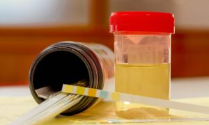 The Growing Demand for Synthetic Urine in Modern Drug Screenings